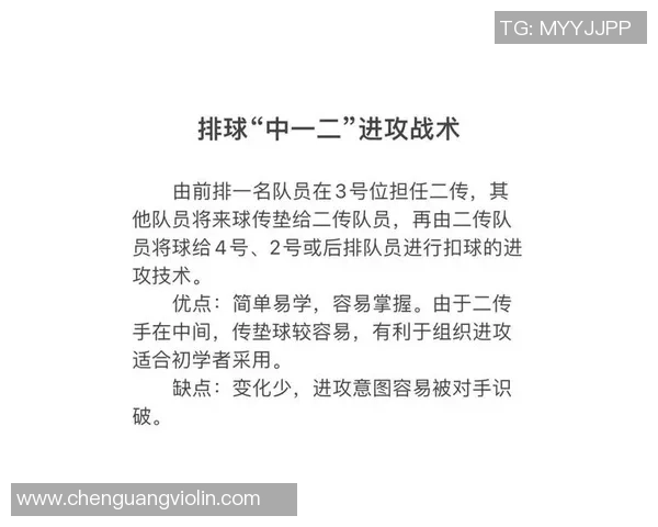 赛后分析：广州与深圳排球队在速度对抗中的表现与战术探讨