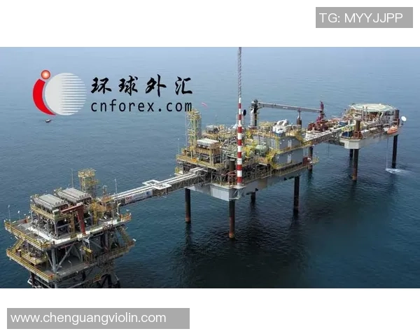 重庆排球队的奋斗历程与世界锦标赛的辉煌成就全景回顾