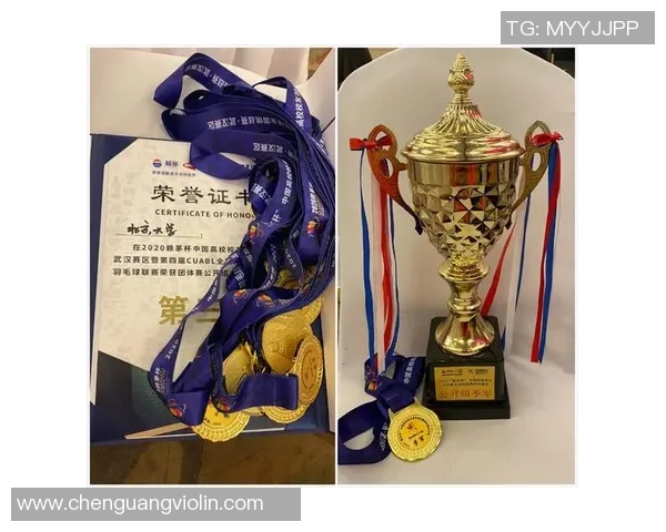 武汉羽毛球队在锦标赛中的技术表现分析与点评